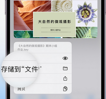 苍梧apple维修中心分享iPhone文件应用中存储和找到下载文件