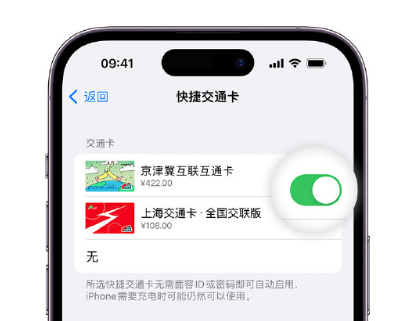 苍梧apple维修点分享iPhone上更换Apple Pay快捷交通卡手绘卡面 