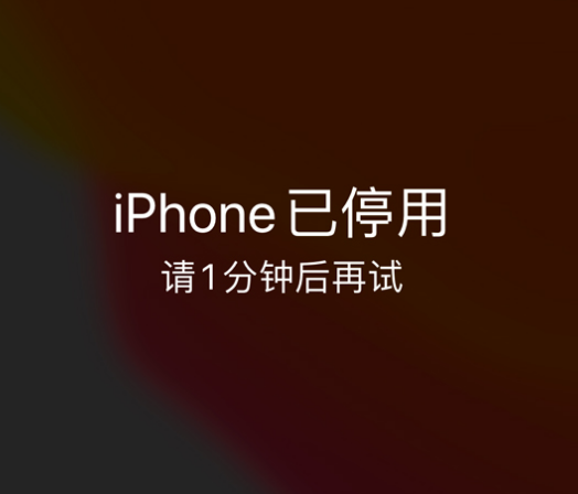 苍梧苹果手机维修分享:iPhone 显示“不可用”或“已停用”怎么办？还能保留数据吗？ 