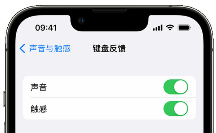 苍梧苹果手机维修分享iPhone 14触感键盘使用方法 