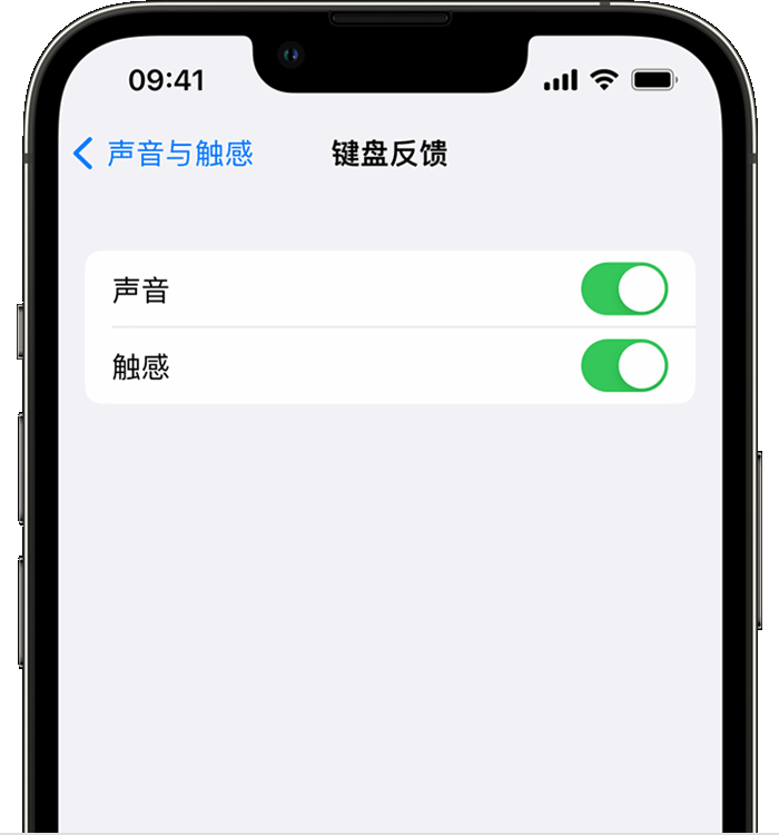 苍梧苹果14维修店分享如何在 iPhone 14 机型中使用触感键盘 