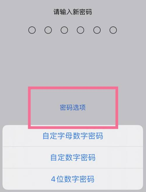 苍梧苹果14维修分享iPhone 14plus设置密码的方法 