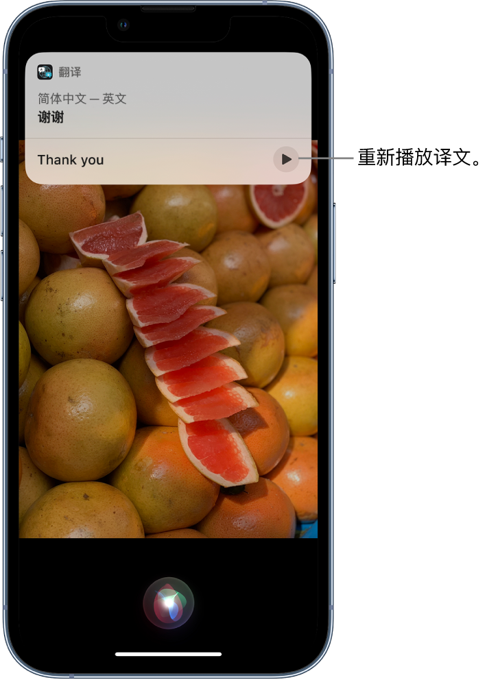 苍梧苹果14维修分享 iPhone 14 机型中使用 Siri：了解 Siri 能帮你做什么 