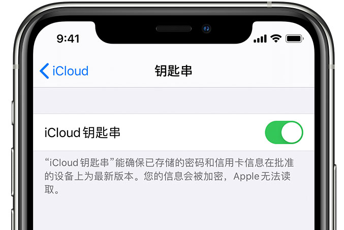 苍梧苹果手机维修分享在 iPhone 上开启 iCloud 钥匙串之后会储存哪些信息 