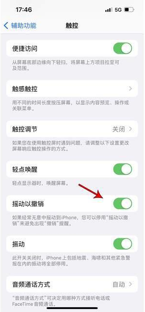 苍梧苹果手机维修分享iPhone手机如何设置摇一摇删除文字 